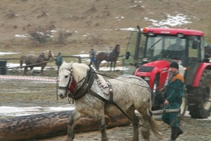 Konie wyszły z mgły – I Karnawał Furmański już za nami - zdjęcie26