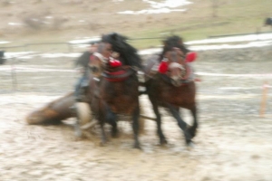 Konie wyszły z mgły – I Karnawał Furmański już za nami - zdjęcie25