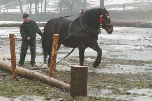 Konie wyszły z mgły – I Karnawał Furmański już za nami - zdjęcie18