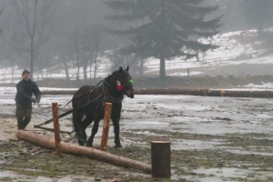 Konie wyszły z mgły – I Karnawał Furmański już za nami - zdjęcie17