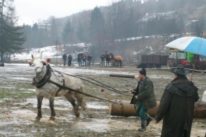 Konie wyszły z mgły – I Karnawał Furmański już za nami - zdjęcie37