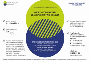 Badania ankietowe Urzędu Statystycznego w Katowicach - zdjęcie4