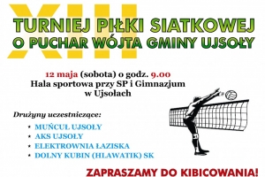 XIII Turniej Piłki Siatkowej o Puchar Wójta Gminy Ujsoły - zdjęcie1