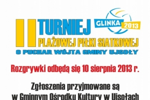 II Turniej Plażowej Piłki Siatkowej o Puchar Wójta Gminy Ujsoły - Glinka 2013 - zdjęcie1