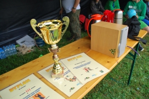 Turniej Plażowej Piłki Siatkowej Glinka 2013 - wyniki - zdjęcie13